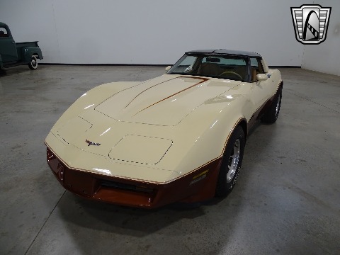 1981 Chevrolet Corvette image 15
