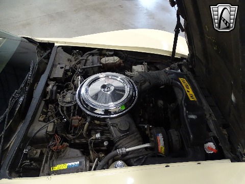 1981 Chevrolet Corvette image 93