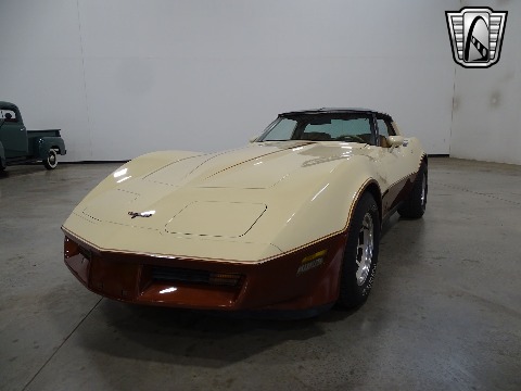 1981 Chevrolet Corvette image 16
