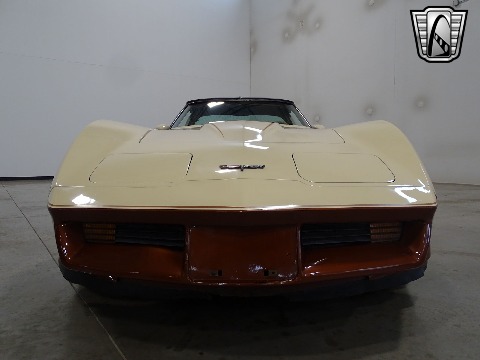 1981 Chevrolet Corvette image 42