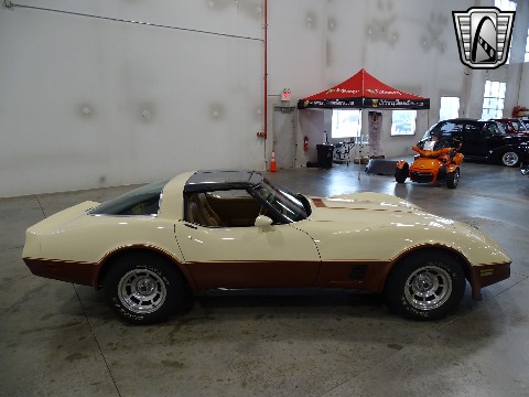 1981 Chevrolet Corvette image 17