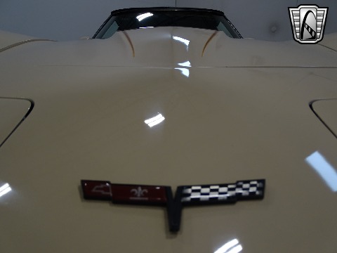 1981 Chevrolet Corvette image 43