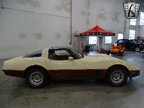 1981 Chevrolet Corvette image 18