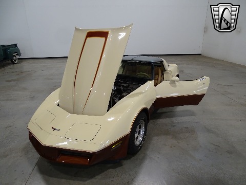 1981 Chevrolet Corvette image 44