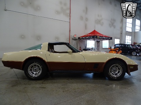 1981 Chevrolet Corvette image 19