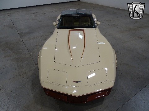 1981 Chevrolet Corvette image 45