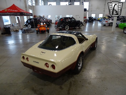1981 Chevrolet Corvette image 20