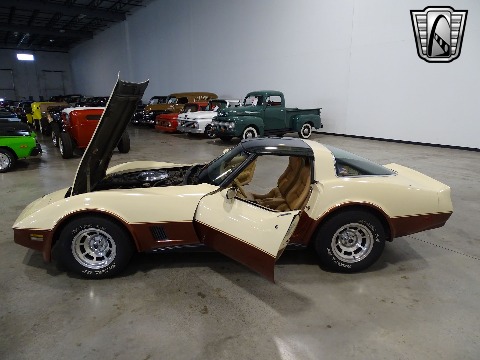 1981 Chevrolet Corvette image 46