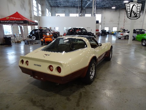 1981 Chevrolet Corvette image 21