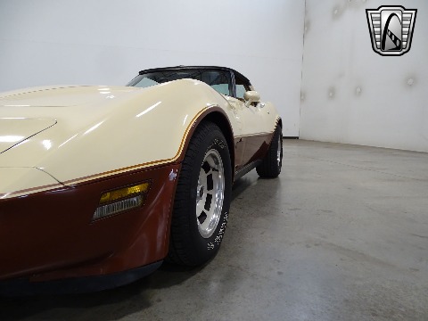 1981 Chevrolet Corvette image 47