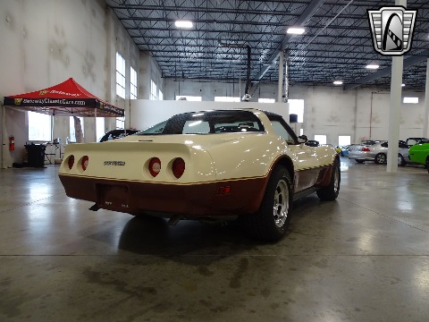 1981 Chevrolet Corvette image 22