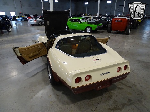 1981 Chevrolet Corvette image 48