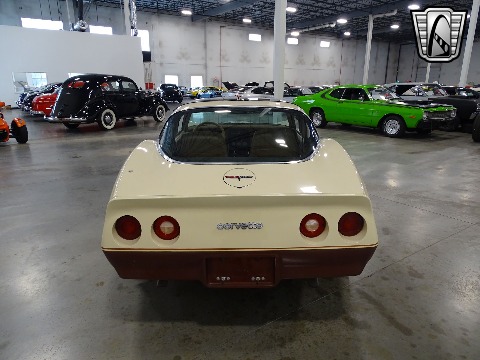 1981 Chevrolet Corvette image 24