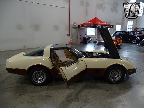 1981 Chevrolet Corvette image 51