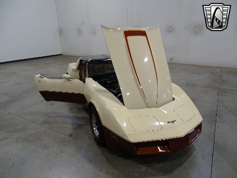 1981 Chevrolet Corvette image 52