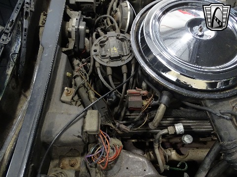 1981 Chevrolet Corvette image 104