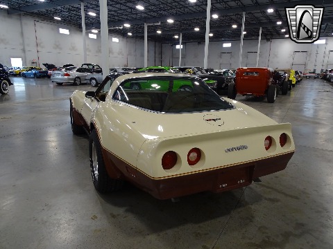 1981 Chevrolet Corvette image 27