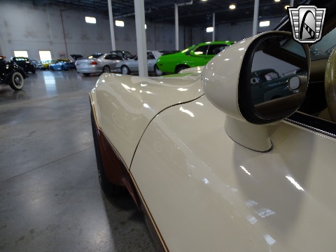 1981 Chevrolet Corvette image 53