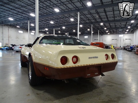 1981 Chevrolet Corvette image 28