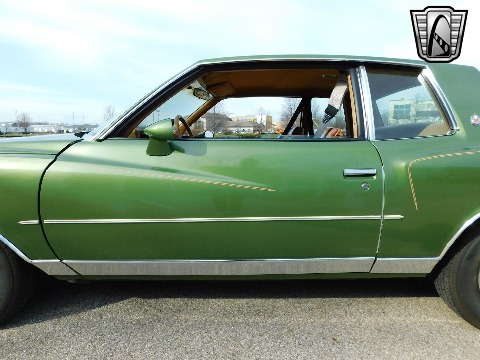 1979 Chevrolet Monte Carlo image 30