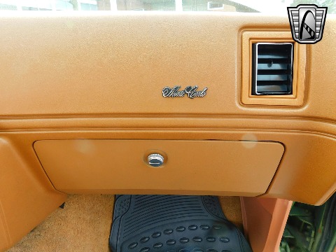 1979 Chevrolet Monte Carlo image 109