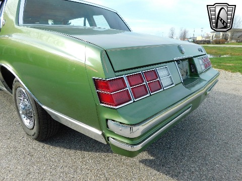 1979 Chevrolet Monte Carlo image 32