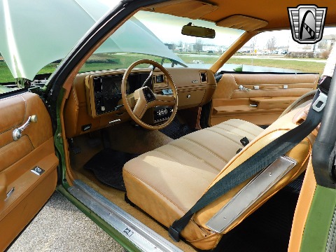 1979 Chevrolet Monte Carlo image 111