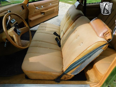 1979 Chevrolet Monte Carlo image 113