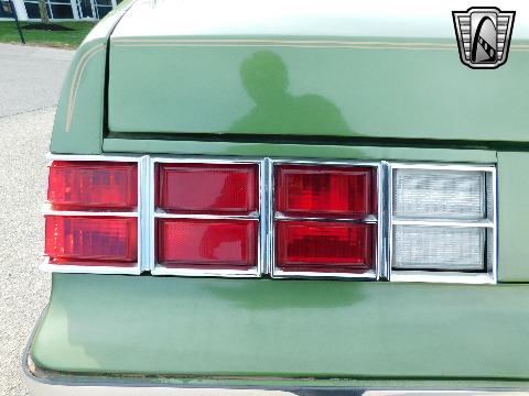 1979 Chevrolet Monte Carlo image 62