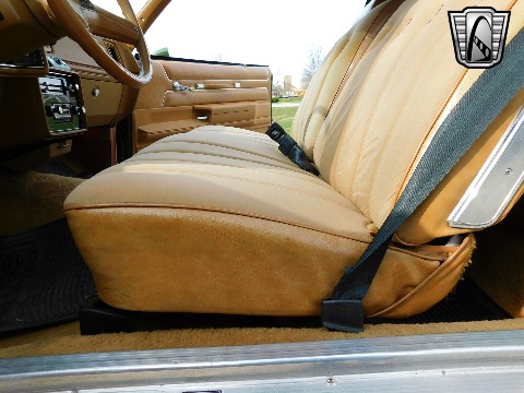 1979 Chevrolet Monte Carlo image 114