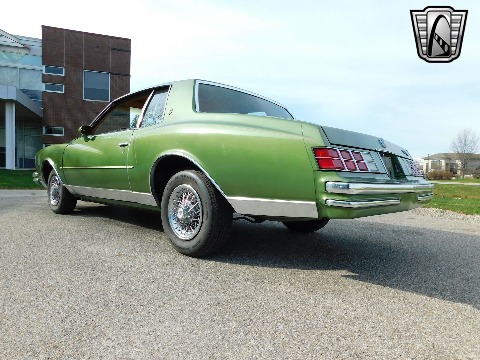 1979 Chevrolet Monte Carlo image 11