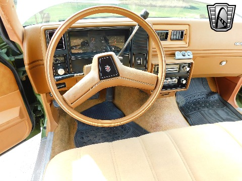 1979 Chevrolet Monte Carlo image 115