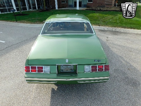 1979 Chevrolet Monte Carlo image 12
