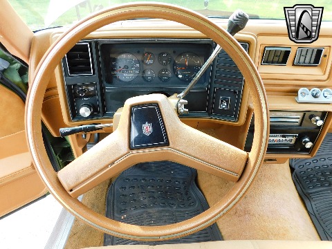 1979 Chevrolet Monte Carlo image 117