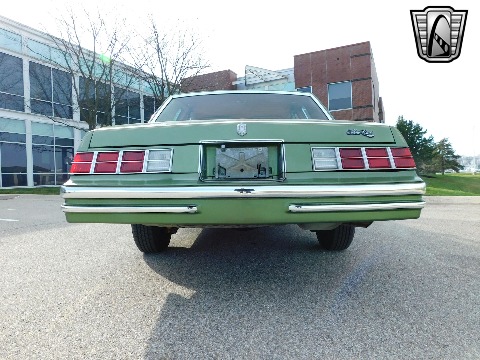 1979 Chevrolet Monte Carlo image 14