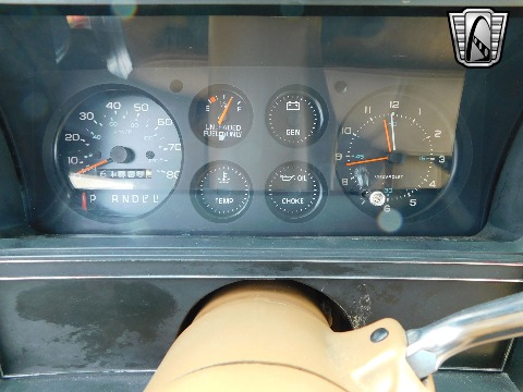 1979 Chevrolet Monte Carlo image 119