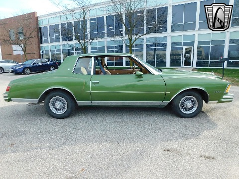 1979 Chevrolet Monte Carlo image 19
