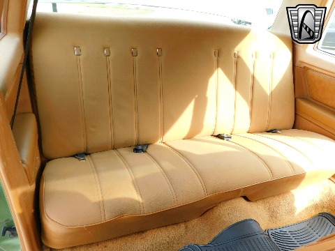 1979 Chevrolet Monte Carlo image 97