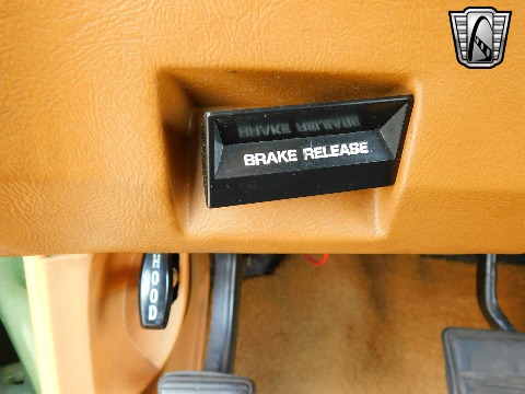 1979 Chevrolet Monte Carlo image 123