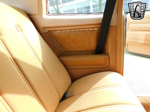 1979 Chevrolet Monte Carlo image 98