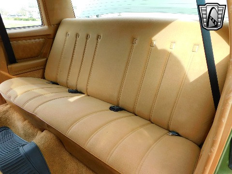 1979 Chevrolet Monte Carlo image 99