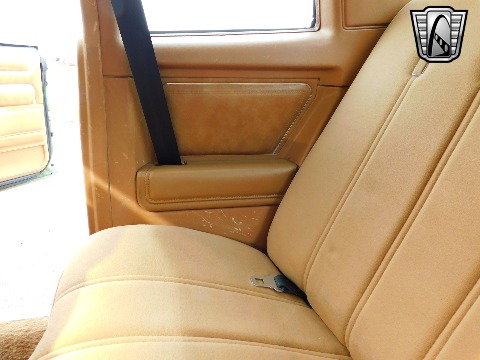 1979 Chevrolet Monte Carlo image 100