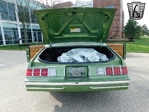 1979 Chevrolet Monte Carlo image 75