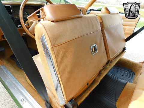 1979 Chevrolet Monte Carlo image 101