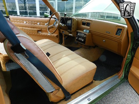 1979 Chevrolet Monte Carlo image 103