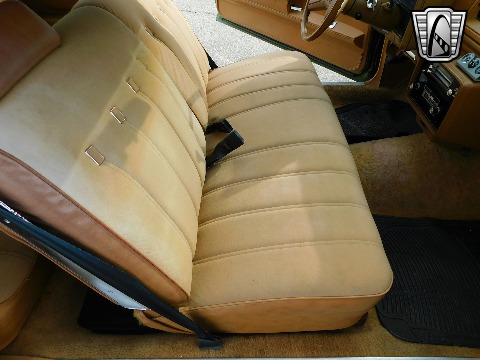 1979 Chevrolet Monte Carlo image 105