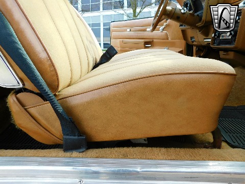 1979 Chevrolet Monte Carlo image 106