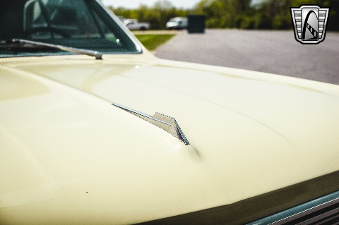 1966 Chevrolet Chevelle image 37