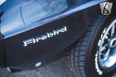 1969 Pontiac Firebird image 49