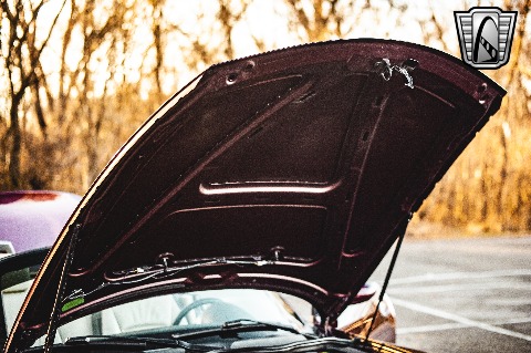 2005 BMW Z4 image 90